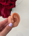 Pearcing Crocetta