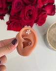 Pearcing Camelia Mini