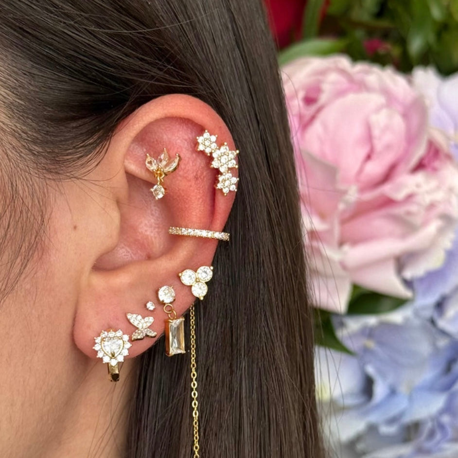 Orecchini a Lobo e Pearcing