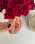 Pearcing Camelia Mini