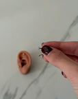 Orecchino Pearcing Cuore