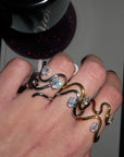 Anelli Mix and Match