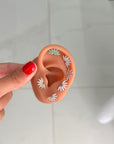 Lobetto MicroVentaglio