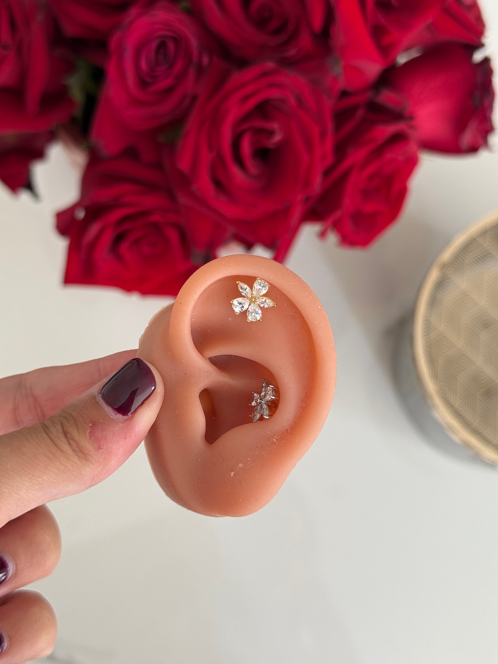 Pearcing Camelia Mini