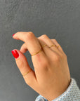 Set 5 Fedine
