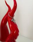 Anello Santo